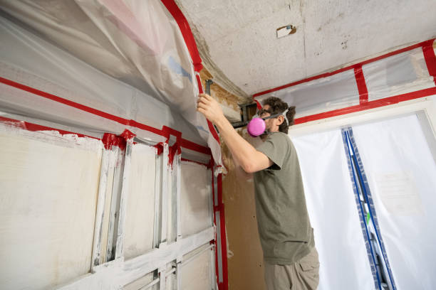 Best Airborne Mold Testing  in Scottsburg, IN
