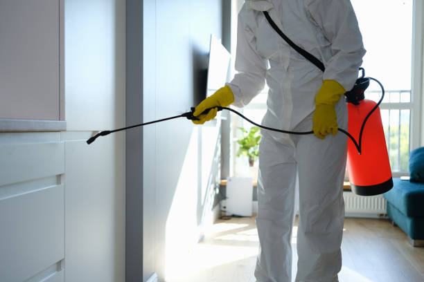 Mold Remediation for Rental Properties in Scottsburg, IN