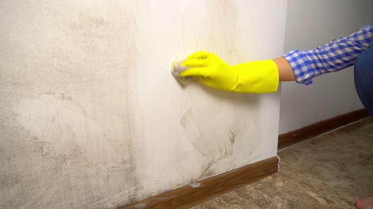 Best Mold Removal for HVAC Installations  in Scottsburg, IN