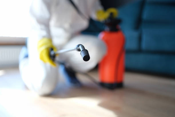 Best Mold Prevention Services  in Scottsburg, IN
