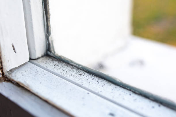 Best Real Estate Mold Inspection  in Scottsburg, IN