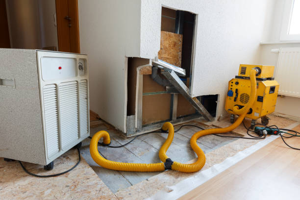 Best Asbestos and Lead Testing During Mold Inspection  in Scottsburg, IN