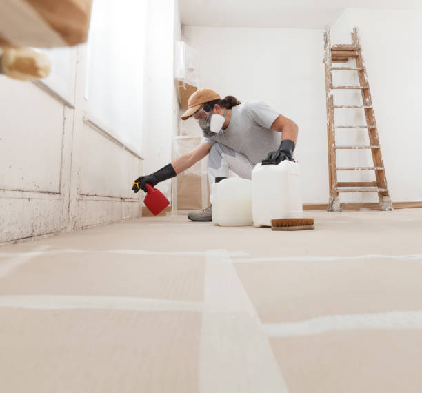 Best Mold Odor Removal Services  in Scottsburg, IN