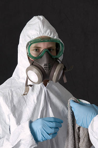 Best Mold Remediation for Rental Properties  in Scottsburg, IN